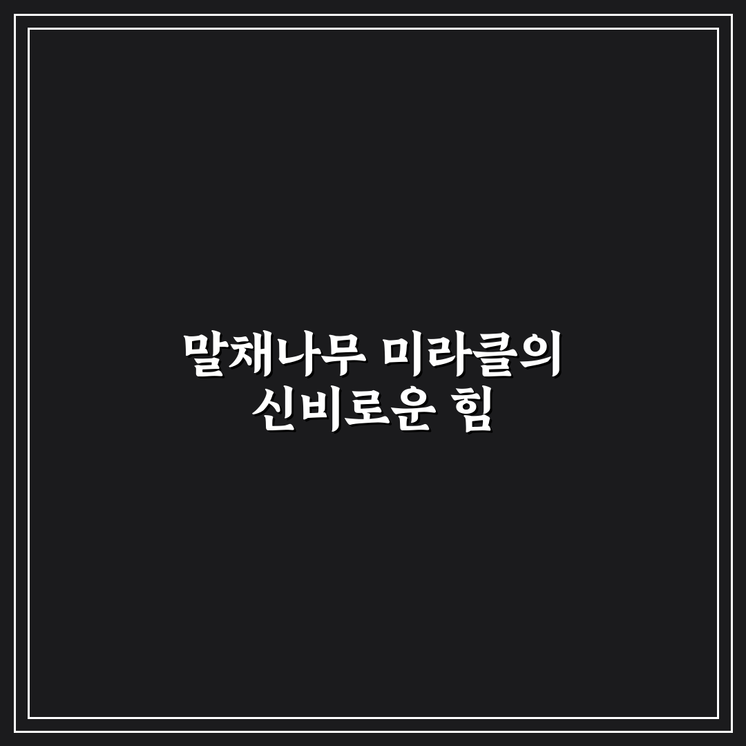 말채나무 미라클 사용 후기, 직접 써보니 변화가 느껴졌어요