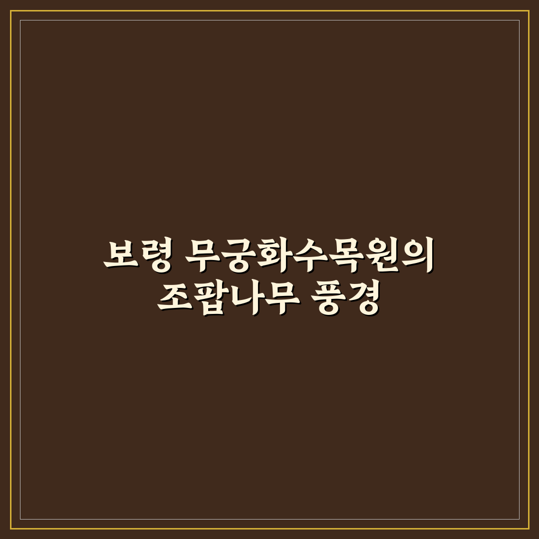 보령 무궁화수목원 조팝나무 방문 후기, 직접 가보니 느낌은