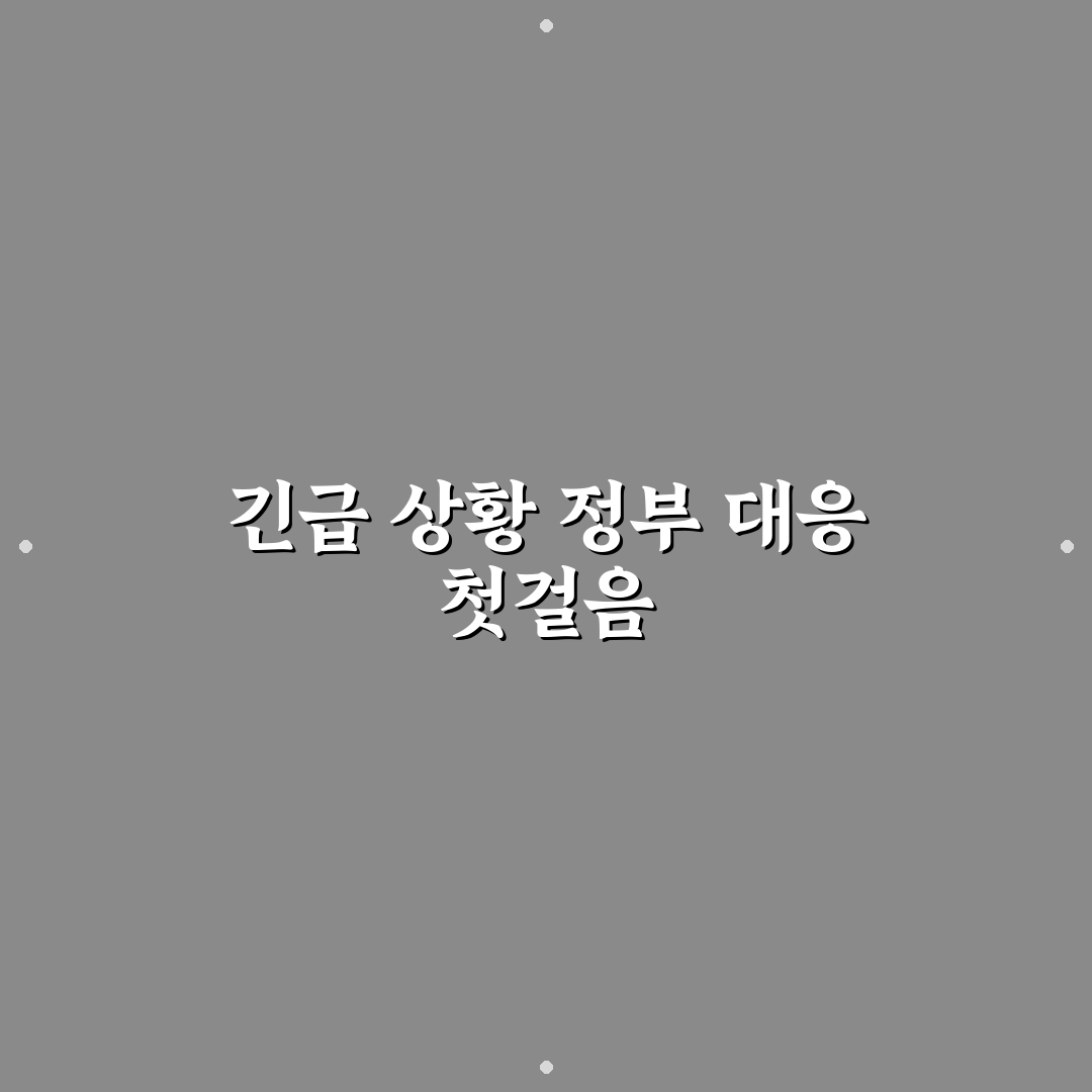 정부 긴급조정권 진행 후기, 실제 적용 사례 살펴보니
