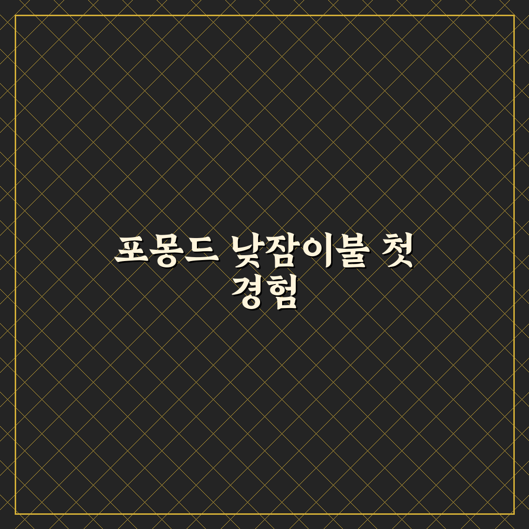포몽드 낮잠이불 핫딜 사용 후기, 실용성은 어땠나