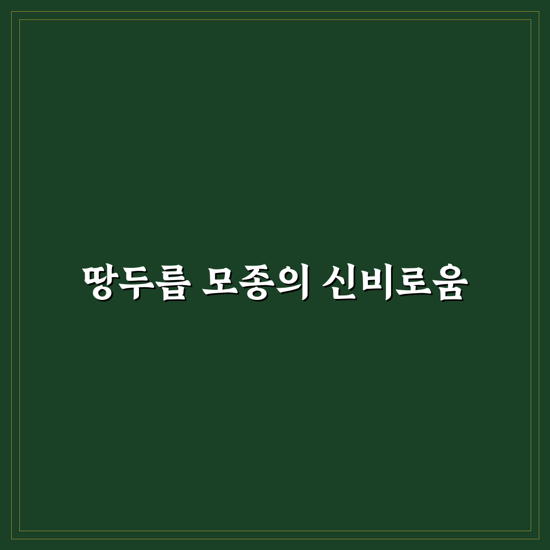 땅두릅 모종 가격 직접 알아보니 가성비는 어떨까