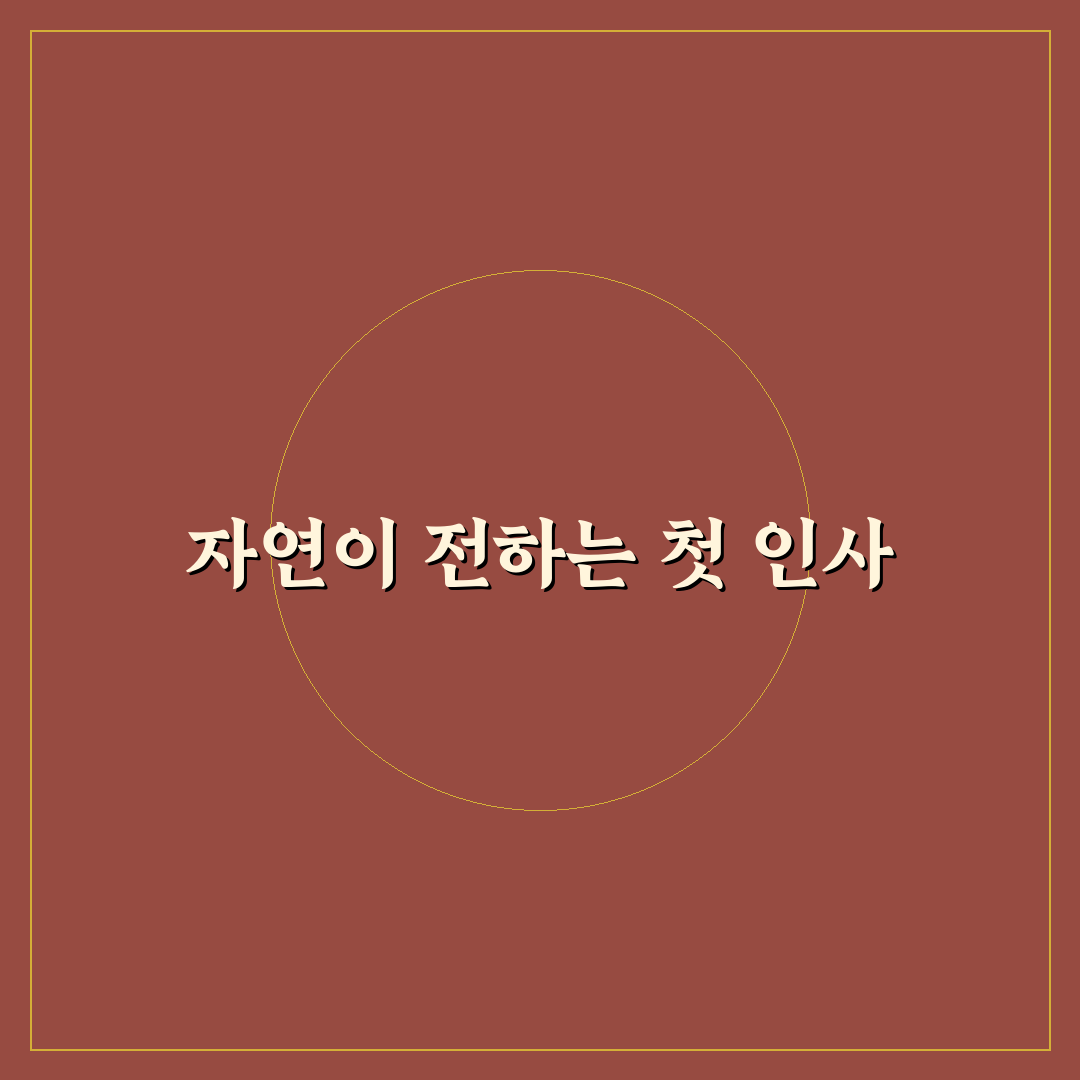 데이지꽃키우는방법 직접 해보니 어려웠던 점과 팁