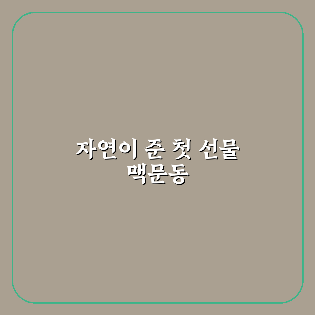 맥문동 심는법 후기, 직접 해보니 어려웠던 점들