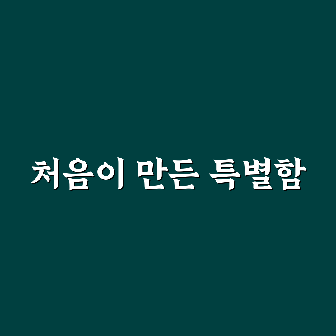 세젤예 사진관 방문 후기, 실제 촬영 경험담
