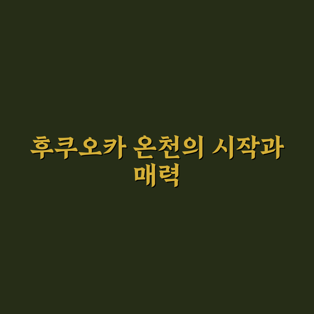 후쿠오카 나미하노유 선택 전 꼭 알아야 할 5가지 기준 분석