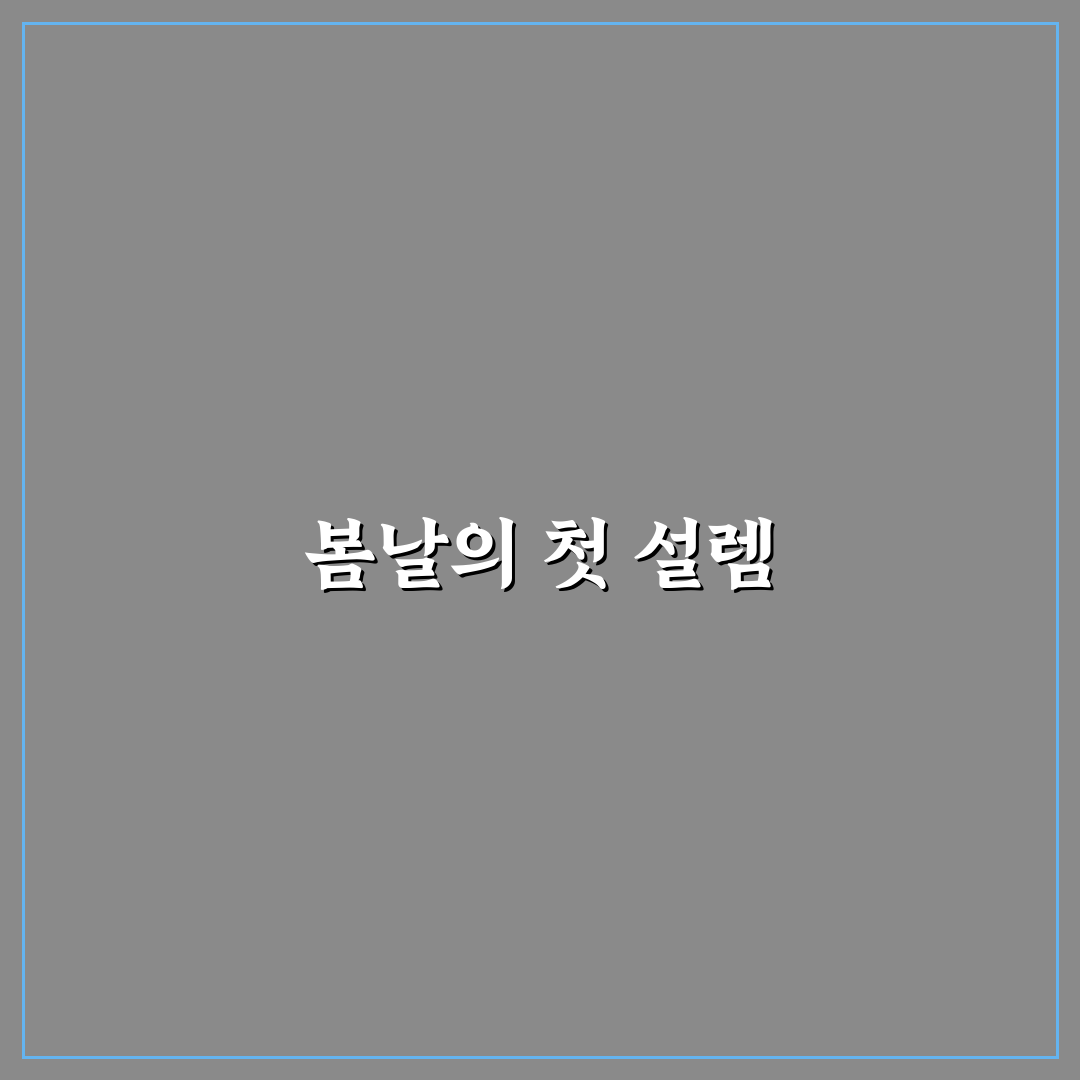 라일락 꽃 명소 방문 후기, 봄꽃 구경해보니 느낌이 좋아요