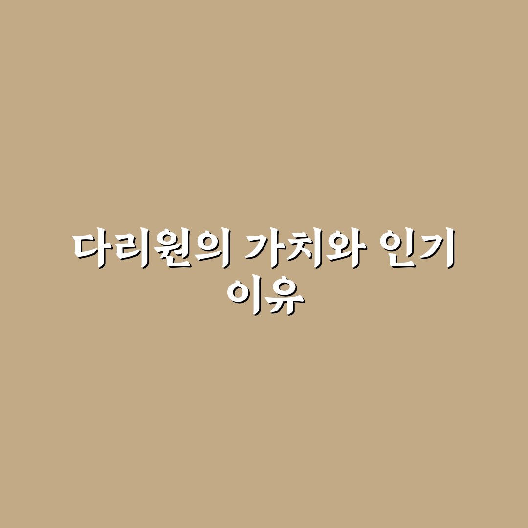 다리원 선택 기준과 주요 서비스 비교 분석 가이드